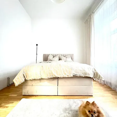 Modern New Eggenberg 1b Apartment