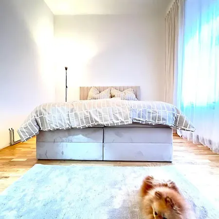 Modern New Eggenberg 1b Apartment *