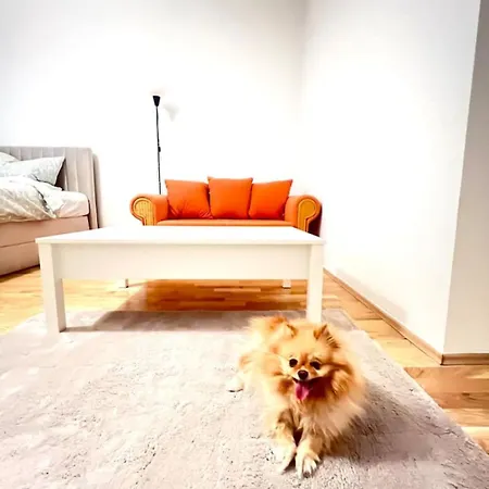 Apartment Modern New Eggenberg 1b Graz