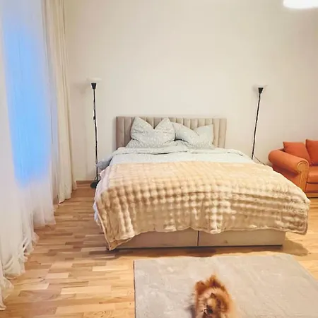 Apartment Modern New Eggenberg 1b *