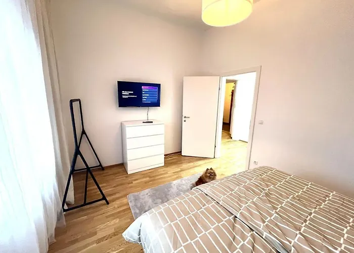 Modern New Eggenberg 1b *